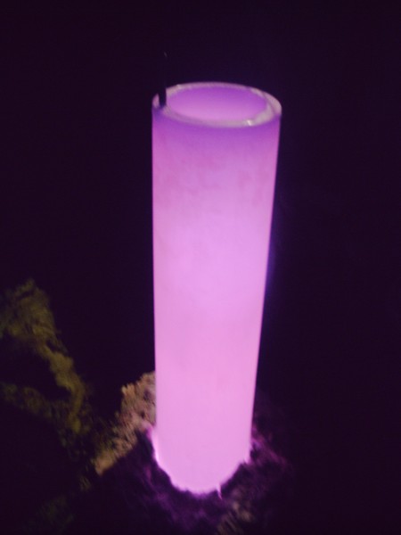 日本熟妇人妻另类无码